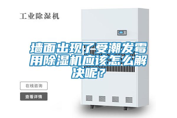 墻面出現(xiàn)了受潮發(fā)霉用除濕機應(yīng)該怎么解決呢？