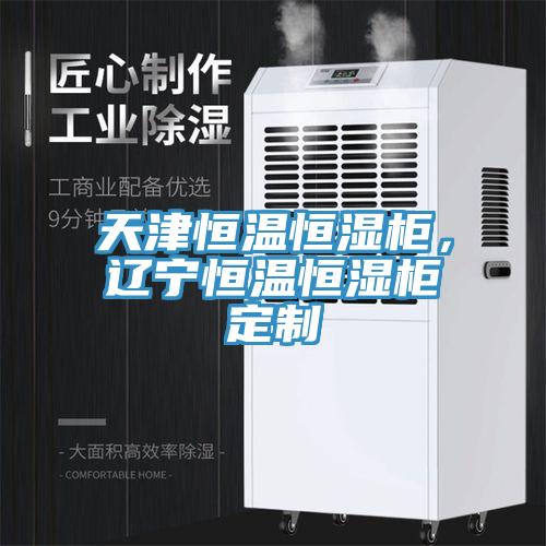 天津恒溫恒濕柜，遼寧恒溫恒濕柜定制
