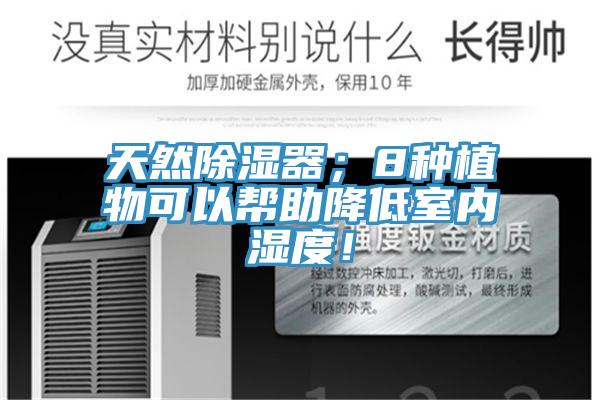 天然除濕器；8種植物可以幫助降低室內(nèi)濕度！