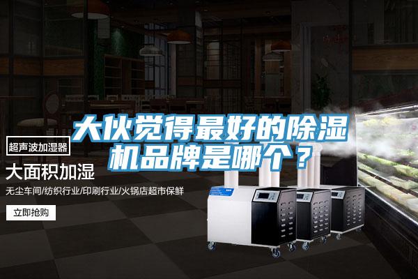 大伙覺(jué)得最好的除濕機(jī)品牌是哪個(gè)？