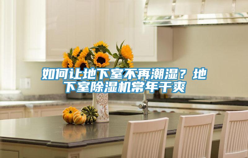 如何讓地下室不再潮濕？地下室除濕機常年干爽