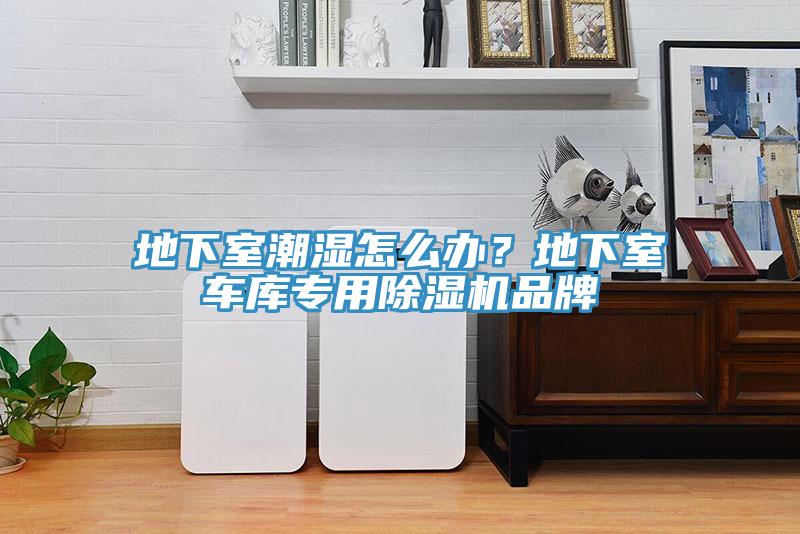 地下室潮濕怎么辦？地下室車庫專用除濕機(jī)品牌