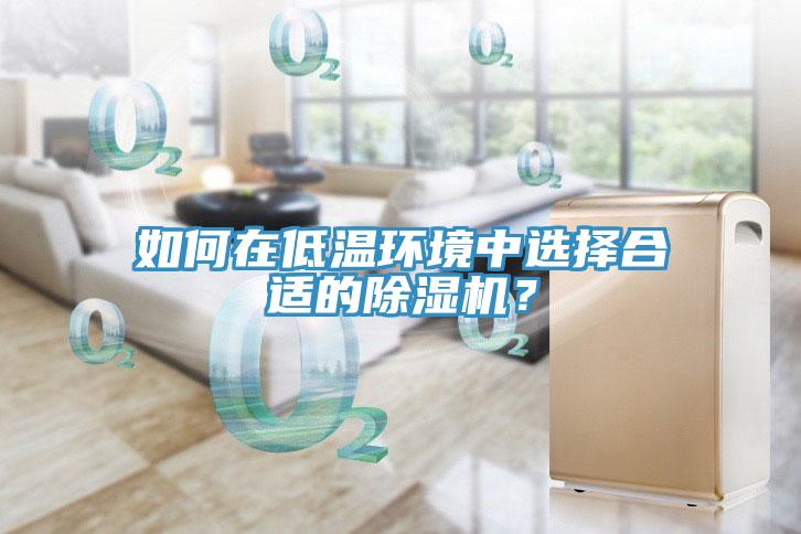 如何在低溫環(huán)境中選擇合適的除濕機？