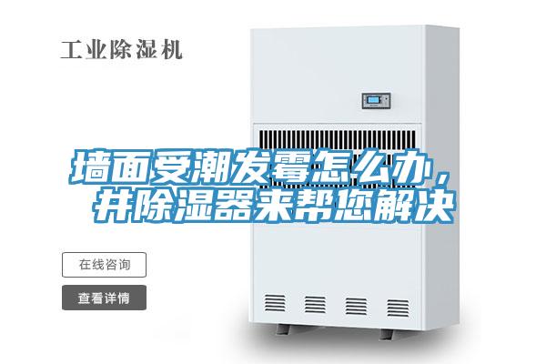 墻面受潮發(fā)霉怎么辦，東井除濕器來幫您解決