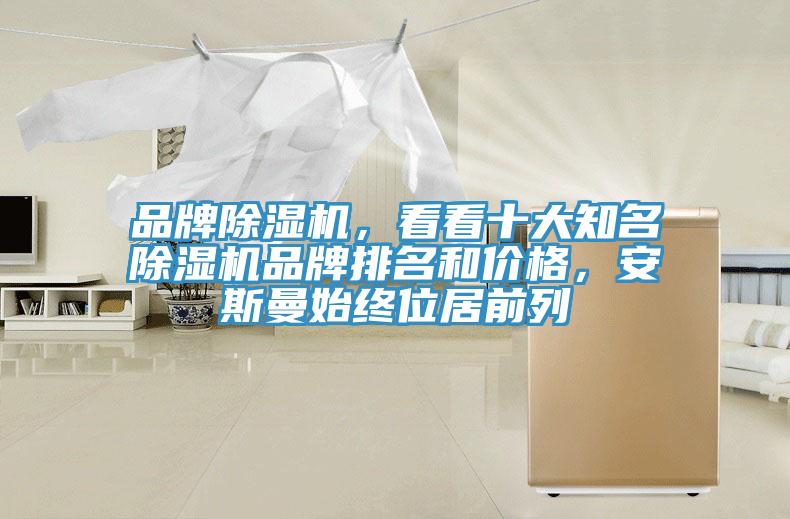 品牌除濕機(jī)，看看十大知名除濕機(jī)品牌排名和價(jià)格，安斯曼始終位居前列