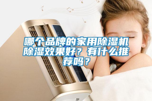 哪個(gè)品牌的家用除濕機(jī)除濕效果好？有什么推薦嗎？