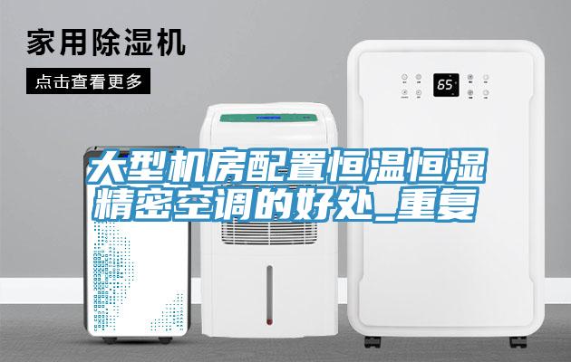 大型機房配置恒溫恒濕精密空調(diào)的好處_重復(fù)