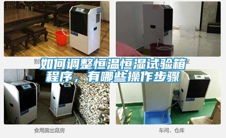 如何調(diào)整恒溫恒濕試驗(yàn)箱程序，有哪些操作步驟