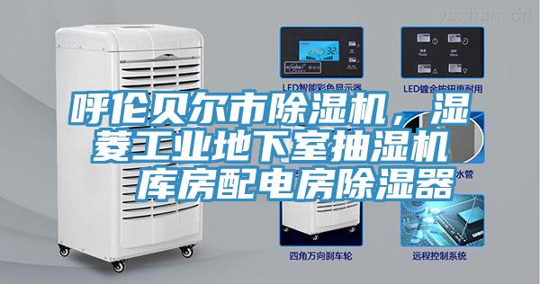 呼倫貝爾市除濕機(jī)，濕菱工業(yè)地下室抽濕機(jī)  庫(kù)房配電房除濕器