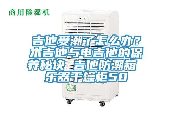 吉他受潮了怎么辦？木吉他與電吉他的保養(yǎng)秘訣 吉他防潮箱 樂器干燥柜50