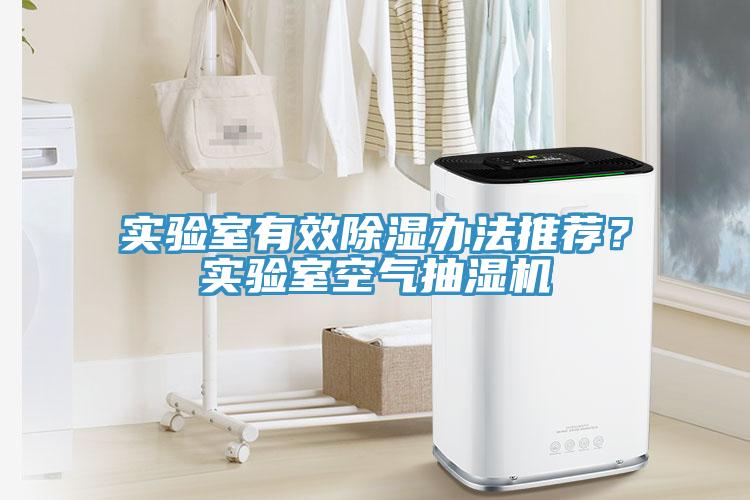 實驗室有效除濕辦法推薦？實驗室空氣抽濕機