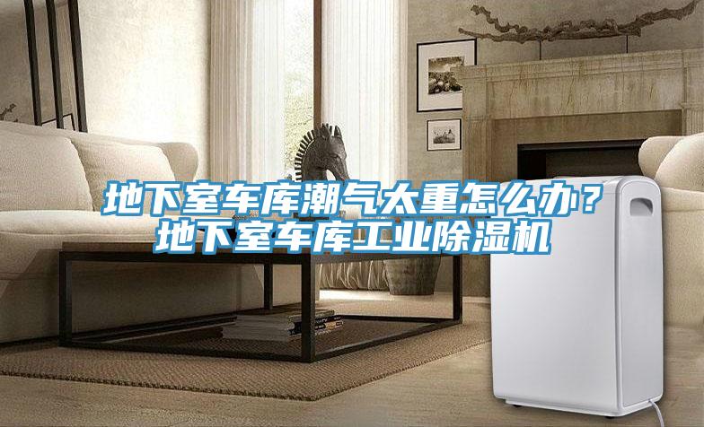 地下室車庫潮氣太重怎么辦？地下室車庫工業(yè)除濕機