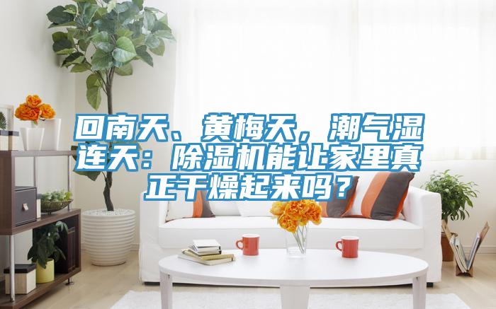 回南天、黃梅天，潮氣濕連天：除濕機(jī)能讓家里真正干燥起來嗎？