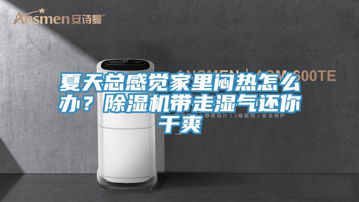 夏天總感覺(jué)家里悶熱怎么辦？除濕機(jī)帶走濕氣還你干爽