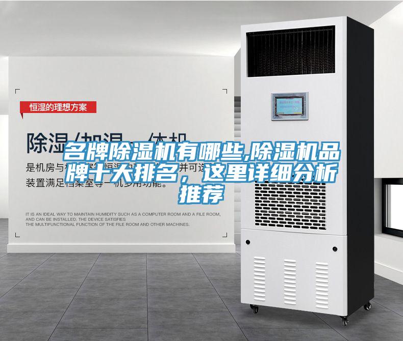 名牌除濕機有哪些,除濕機品牌十大排名，這里詳細分析推薦