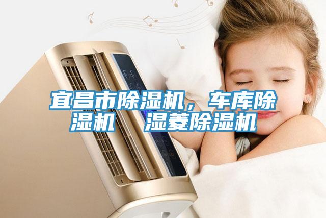 宜昌市除濕機(jī)，車庫除濕機(jī)  濕菱除濕機(jī)