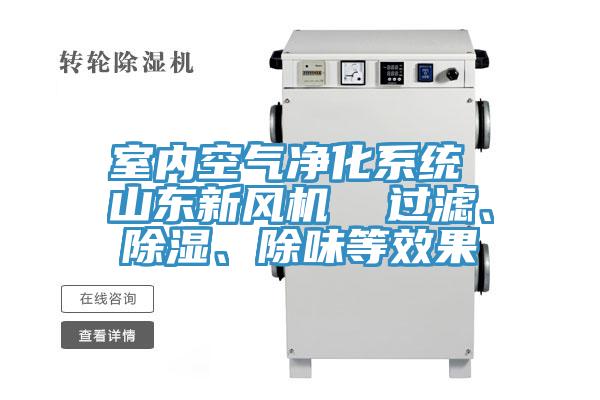 室內(nèi)空氣凈化系統(tǒng) 山東新風(fēng)機(jī)  過濾、除濕、除味等效果