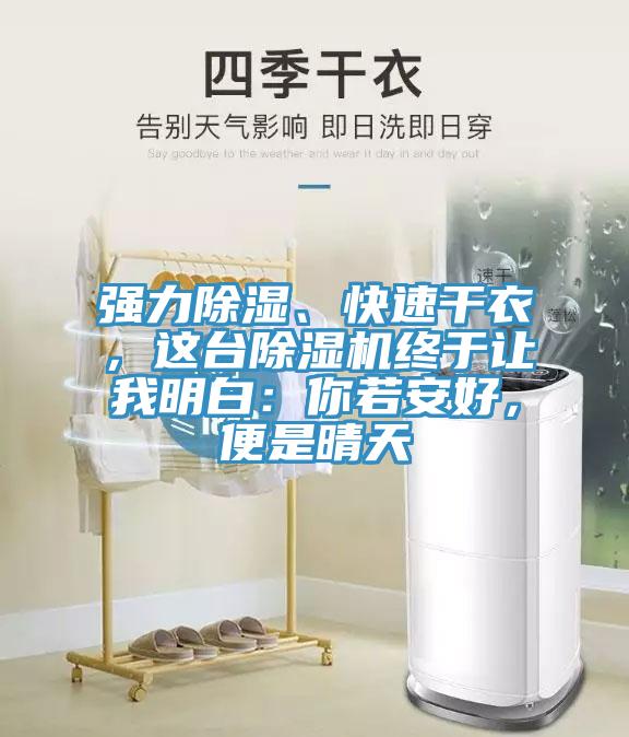 強(qiáng)力除濕、快速干衣，這臺(tái)除濕機(jī)終于讓我明白：你若安好，便是晴天