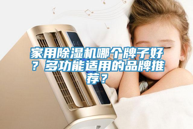 家用除濕機(jī)哪個(gè)牌子好？多功能適用的品牌推薦？