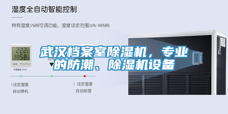 武漢檔案室除濕機(jī)，專業(yè)的防潮、除濕機(jī)設(shè)備