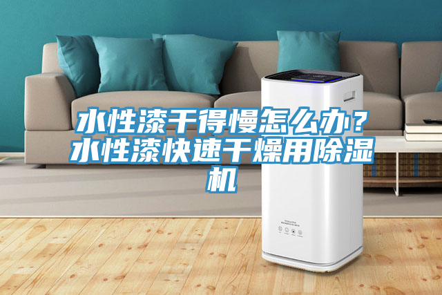 水性漆干得慢怎么辦？水性漆快速干燥用除濕機(jī)