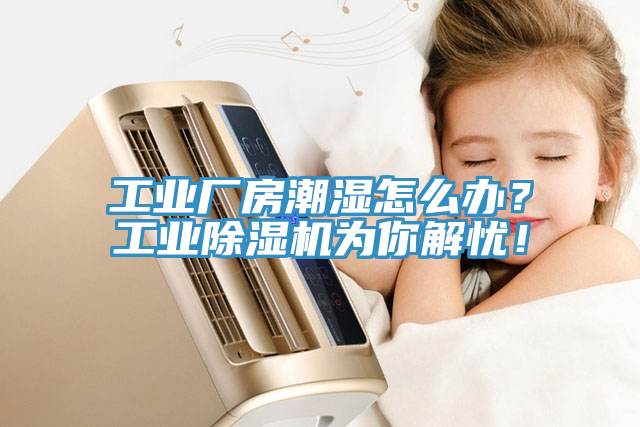 工業(yè)廠房潮濕怎么辦？工業(yè)除濕機(jī)為你解憂！