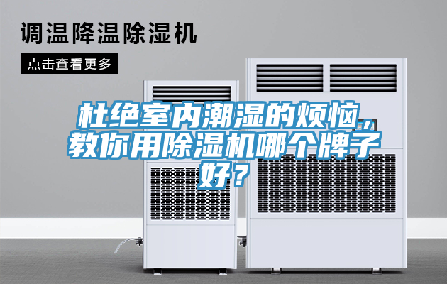 杜絕室內(nèi)潮濕的煩惱，教你用除濕機哪個牌子好？