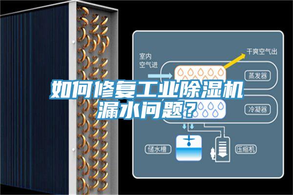 如何修復(fù)工業(yè)除濕機(jī)漏水問題？