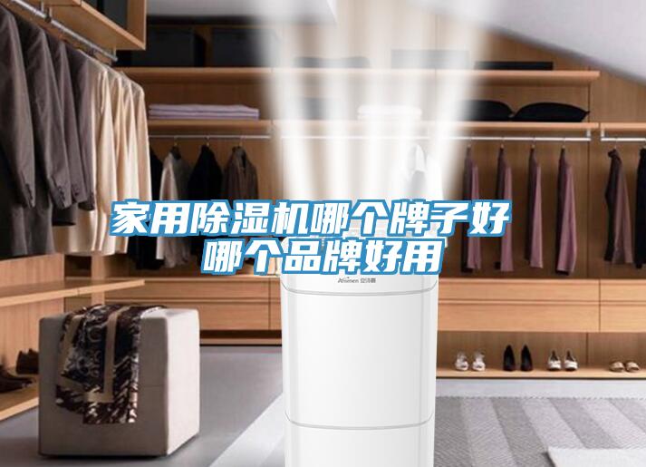 家用除濕機(jī)哪個牌子好 哪個品牌好用