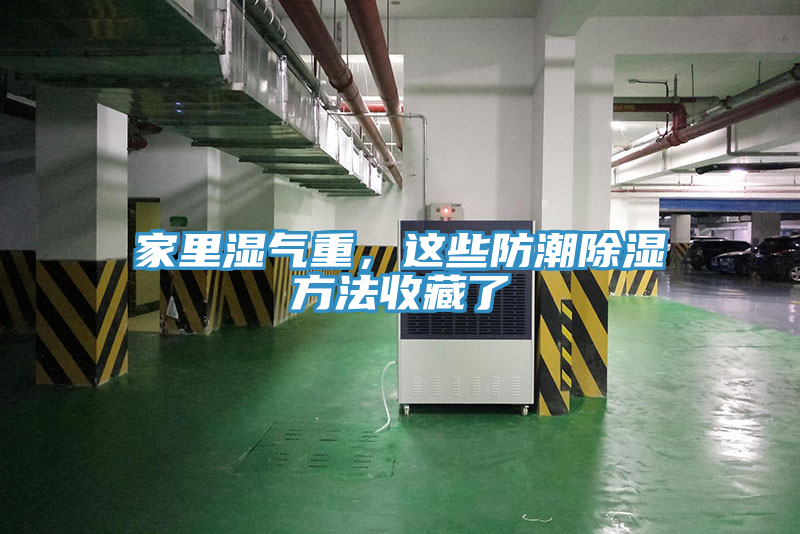 家里濕氣重，這些防潮除濕方法收藏了