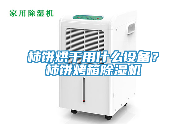 柿餅烘干用什么設(shè)備？柿餅烤箱除濕機(jī)