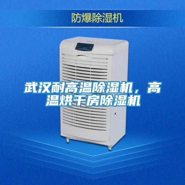 武漢耐高溫除濕機(jī)，高溫烘干房除濕機(jī)