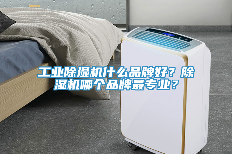 工業(yè)除濕機(jī)什么品牌好？除濕機(jī)哪個品牌最專業(yè)？