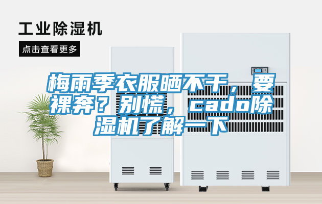 梅雨季衣服曬不干，要裸奔？別慌，cado除濕機了解一下