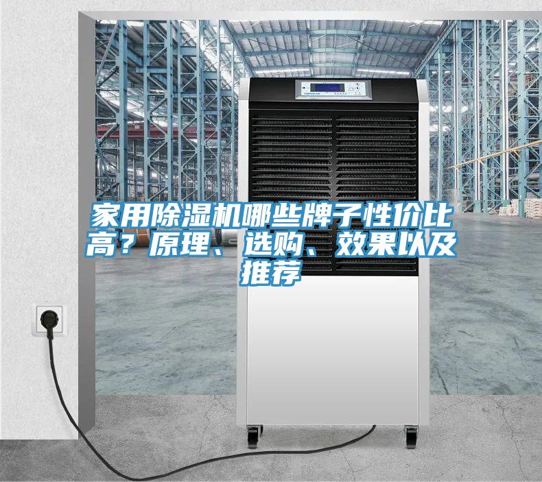 家用除濕機哪些牌子性價比高？原理、選購、效果以及推薦