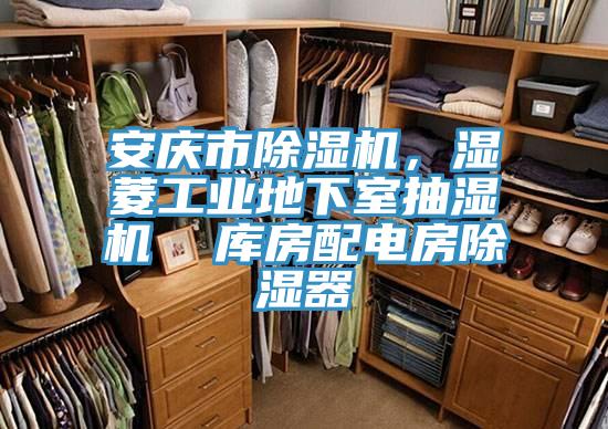 安慶市除濕機，濕菱工業(yè)地下室抽濕機  庫房配電房除濕器