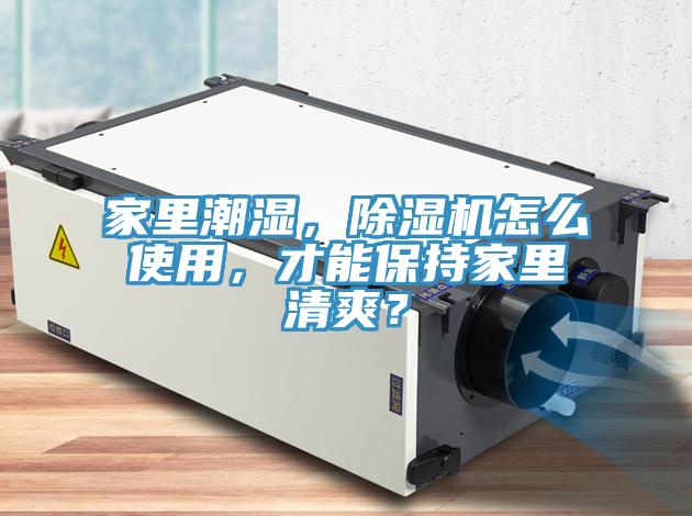 家里潮濕，除濕機(jī)怎么使用，才能保持家里清爽？