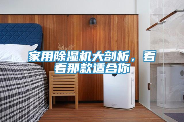 家用除濕機(jī)大剖析，看看那款適合你