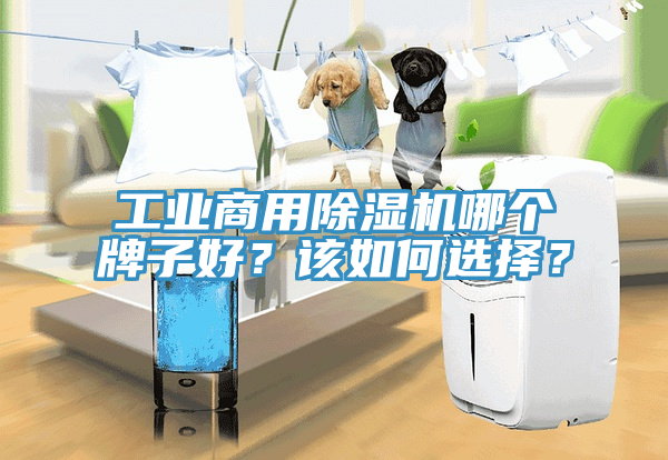 工業(yè)商用除濕機(jī)哪個牌子好？該如何選擇？