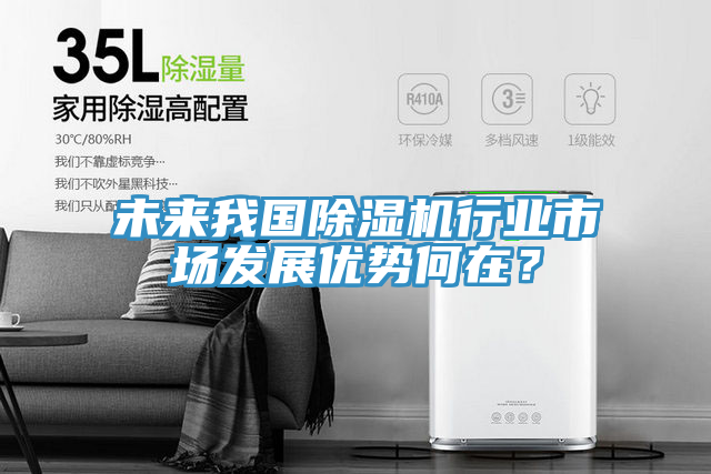 未來(lái)我國(guó)除濕機(jī)行業(yè)市場(chǎng)發(fā)展優(yōu)勢(shì)何在？