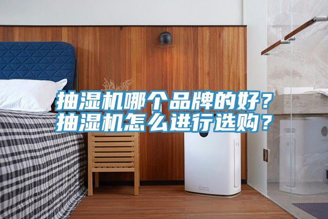 抽濕機哪個品牌的好？抽濕機怎么進行選購？