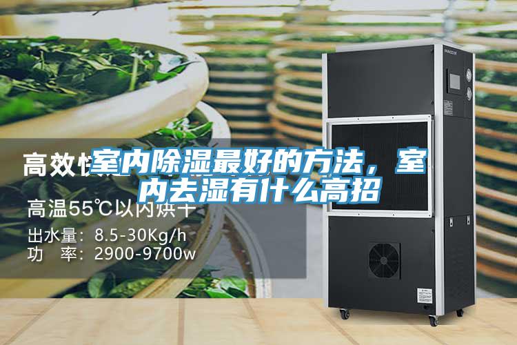 室內(nèi)除濕最好的方法，室內(nèi)去濕有什么高招