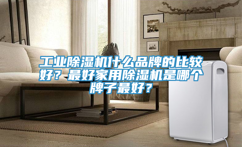 工業(yè)除濕機(jī)什么品牌的比較好？最好家用除濕機(jī)是哪個牌子最好？