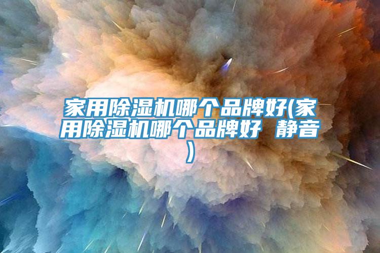 家用除濕機(jī)哪個品牌好(家用除濕機(jī)哪個品牌好 靜音)