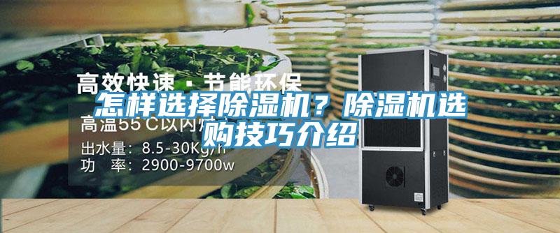 怎樣選擇除濕機？除濕機選購技巧介紹