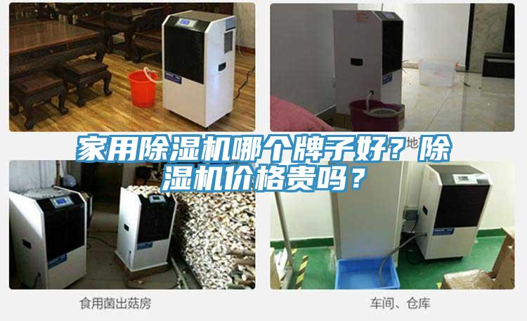 家用除濕機(jī)哪個(gè)牌子好？除濕機(jī)價(jià)格貴嗎？