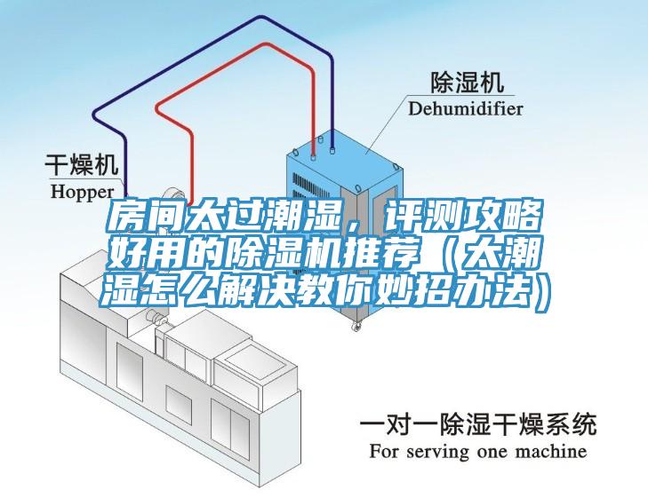 房間太過潮濕，評(píng)測(cè)攻略好用的除濕機(jī)推薦（太潮濕怎么解決教你妙招辦法）