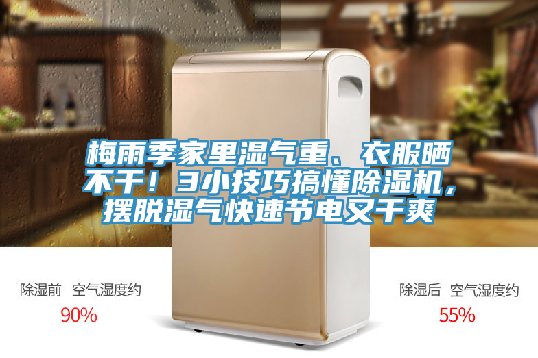 梅雨季家里濕氣重、衣服曬不干！3小技巧搞懂除濕機，擺脫濕氣快速節(jié)電又干爽