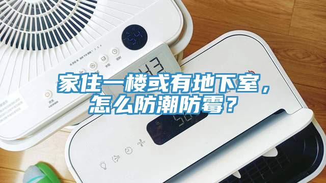 家住一樓或有地下室，怎么防潮防霉？