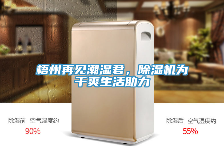 梧州再見潮濕君，除濕機為干爽生活助力